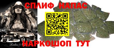 сатива Лесосибирск