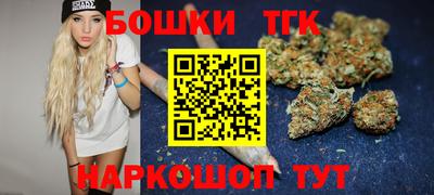 сатива Лесосибирск