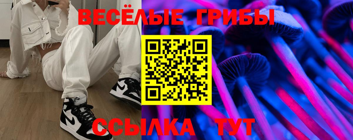 Псилоцибиновые грибы MAGIC MUSHROOMS  Вход с VPN  Псилоцибиновые грибы прущие грибы  Юрга 